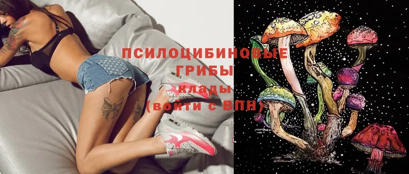 Галлюциногенные грибы Magic Shrooms  Ипатово 